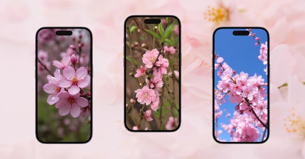100+ hình nền hoa đào tết trên điện thoại, máy tính đẹp rực rỡ đón Xuân 2026
