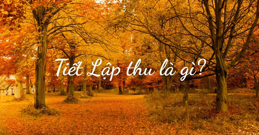 Lập thu là gì? Tiết Lập thu 2025 là ngày nào? Có gì đặc biệt?