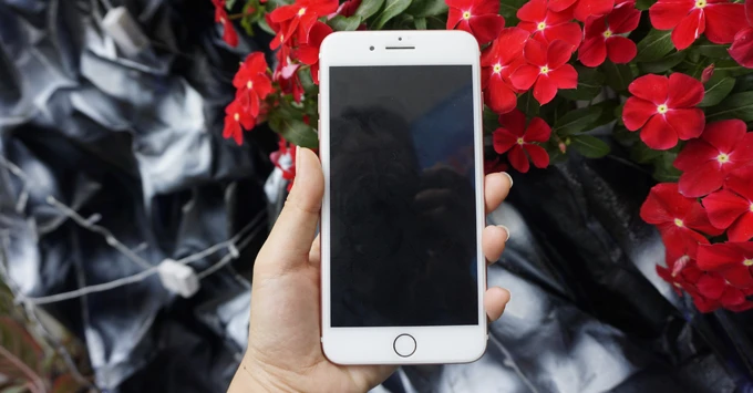 iPhone không đổ chuông khi có cuộc gọi đến thì làm thế nào?