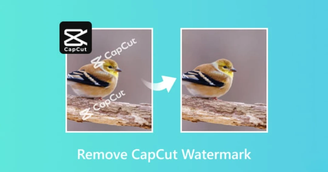 Hướng dẫn cách xóa chữ CapCut trên video nhanh chóng, chi tiết nhất
