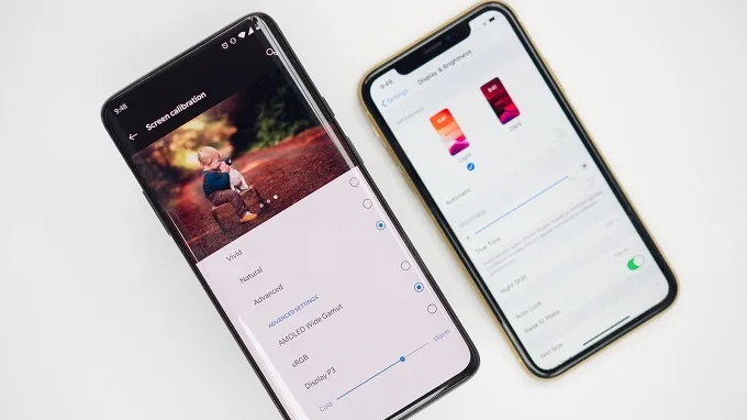 Tấm nền của OnePlus 7 Pro tốt hơn hẳn so với iPhone 11