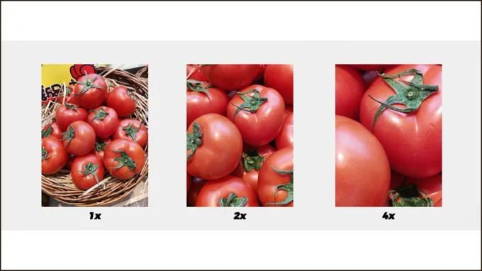 Ảnh chụp Zoom bằng camera Honor 400