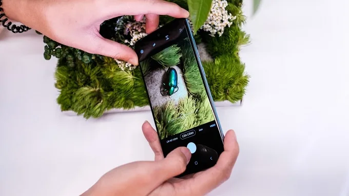 Bức ảnh chụp côn trùng với lens macro đầy nghệ thuật