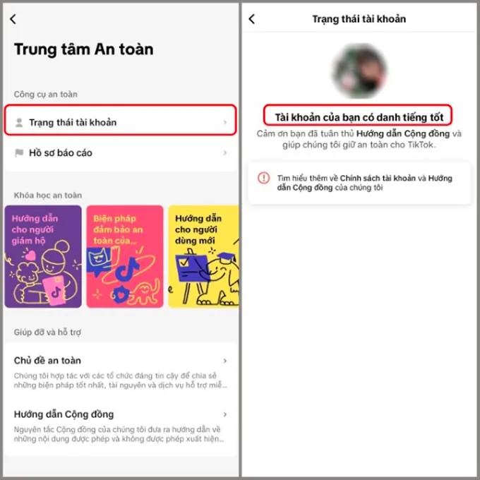 Cách kiểm tra vi phạm trên kênh TikTok