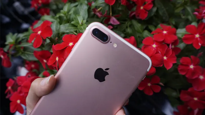 7plus-xtmobile