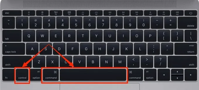 Nhấn giữ đồng thời 3 phím Command + Control + phím cách
