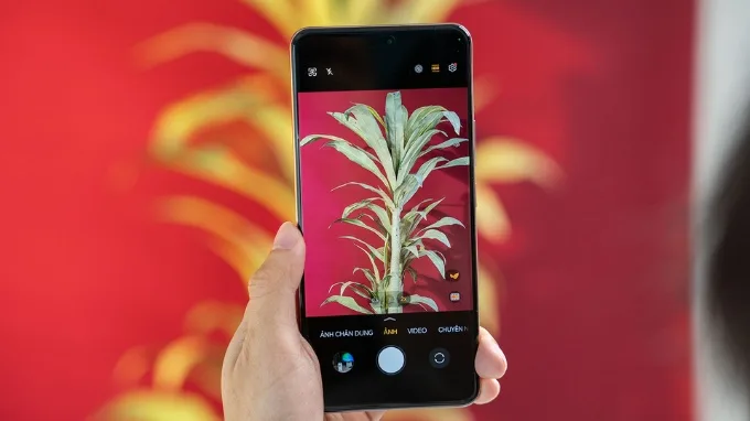 Hệ thống camera