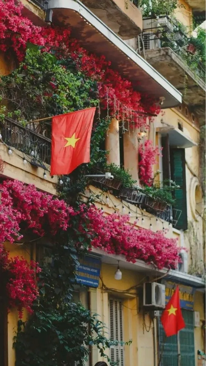 Hình nền là cờ Việt Nam chất lượng cao
