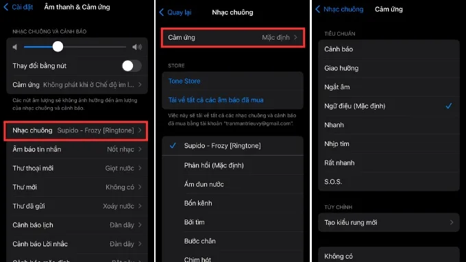 Chọn kiểu rung trên iPhone