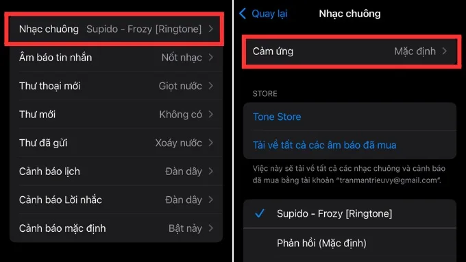 Cách chỉnh chế độ rung trên iPhone chi tiết