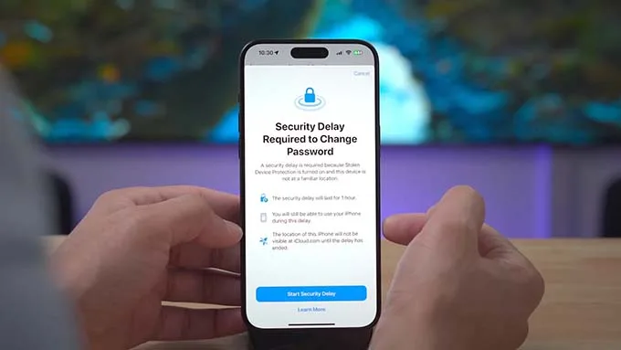 Security Delay