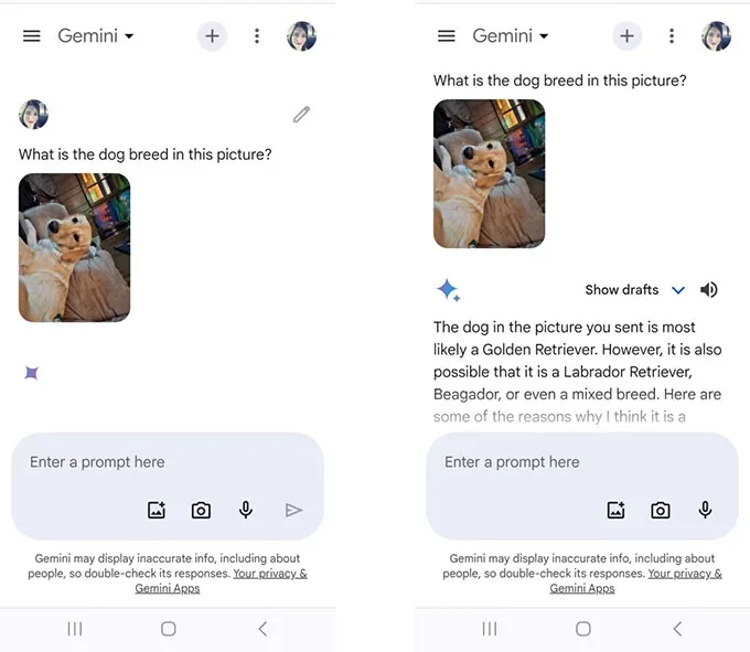 Trò chuyện với Gemini bằng hình ảnh