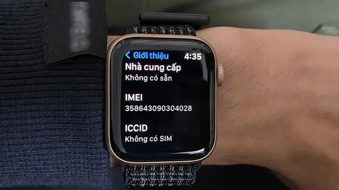 IMEI Apple Watch là gì?