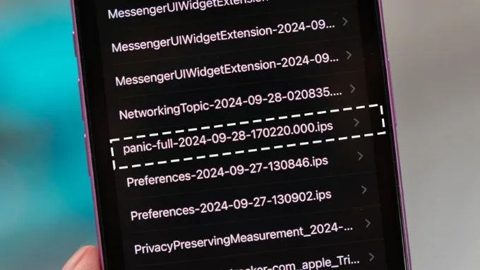 Lỗi Panic Full iPhone là gì?