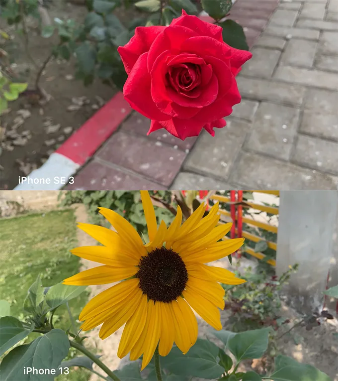 So sánh camera iPhone SE 2022 và iPhone 13: chiếc máy nào sẽ kém hơn