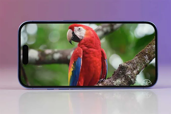 Cả hai điện thoại iPhone 17e và iPhone 16 đều được trang bị màn hình OLED Super Retina XDR 6,1 inch
