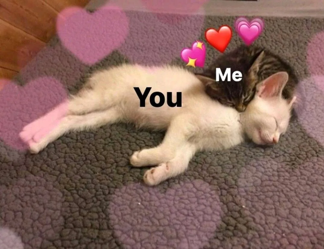 Meme Valentine ngọt ngào, dễ thương cho các cặp đôi