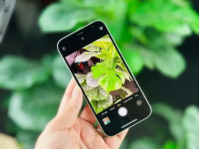 Camera iPhone 12 mini 256GB cũ