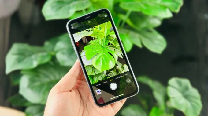 iPhone 11 64GB cũ 99% là gì?