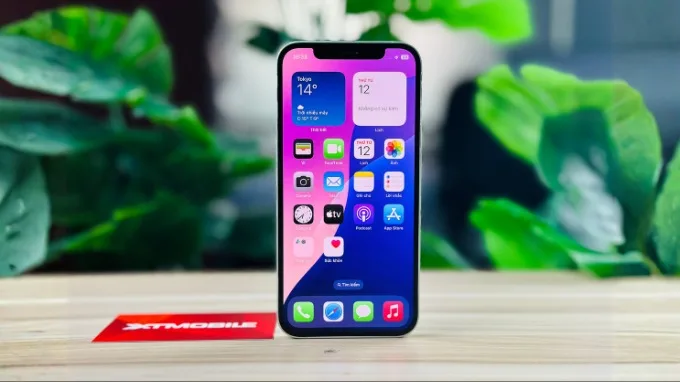 Màn hình tai thỏ sắc nét
