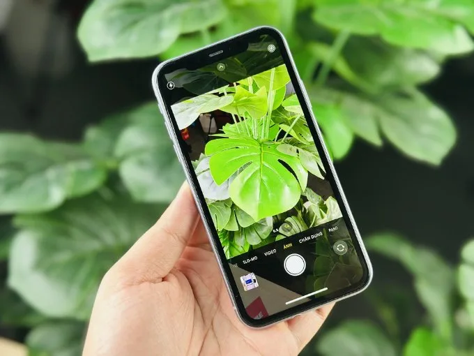 iPhone 11 256GB cũ 97% hệ thống máy ảnh chuyên nghiệp