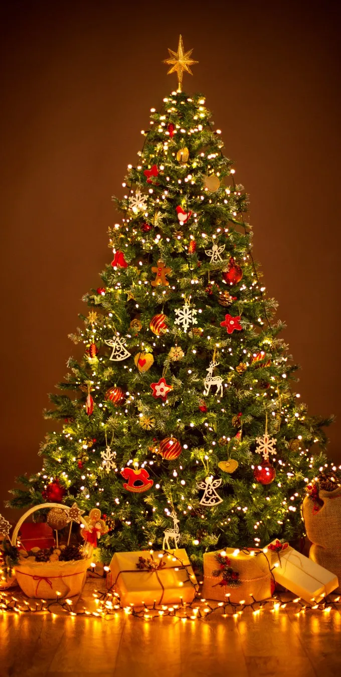 Hình nền Giáng sinh cây thông Noel